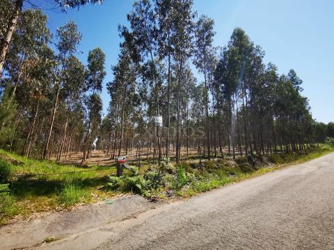 Rustic land with a total area of &#8203;&#8203;30500 m2, for sale, at Rates.