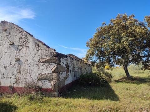 Isolated Farm with 13 HA for Sale in Castelo Branco