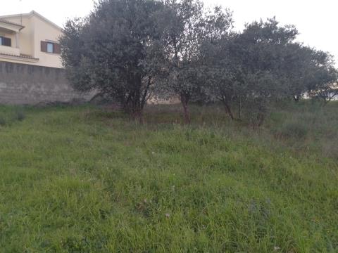 Land for sale in Quinta da Pipa