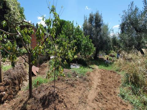 Farm for sale, in Castelo Branco with 7290m2
