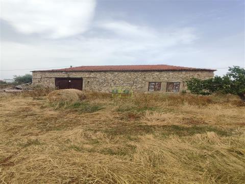 Irrigated farm of 15880m2 with a total built area of 116.68m2.