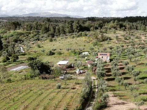 Farm with Rural Construction - Dam - 2 Wells - 19.490m2 - Juncal do Campo
