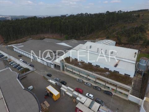 Industrial Warehouse for sale in Trofa