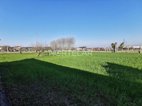 Land with 3000m2 in Trofa