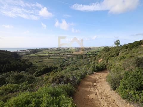 Large plot for construction of a dream home next to Ericeira