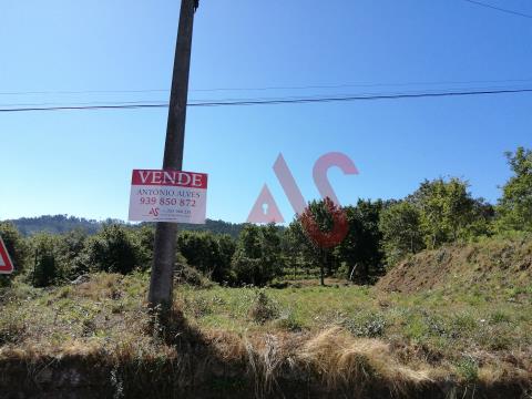 Building land with 3,500 m2 in Panque, Barcelos