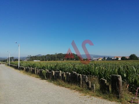 Building land with 22,365 m2 in Alvelos, Barcelos