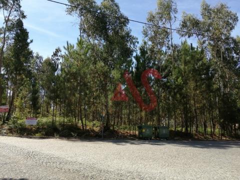 Building land with 11,000 m2 in Remelhe, Barcelos