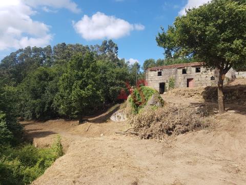 Small farm for restoration with 5313 m2 in Vizela