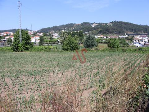 Land for construction with 3 600 m2 in Order, Lousada