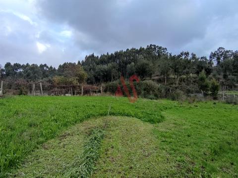 Land for construction in Airó, Barcelos