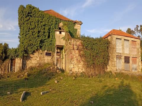 Farm for restoration with 14.000m2 S.M.Negrelos, Stº Tirso