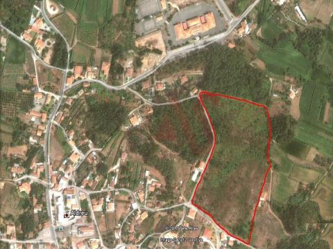 Land with 39700 m2 in Fragoso, Barcelos