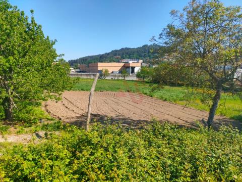 Grundstück mit 6715 m2 in Infias, Vizela
