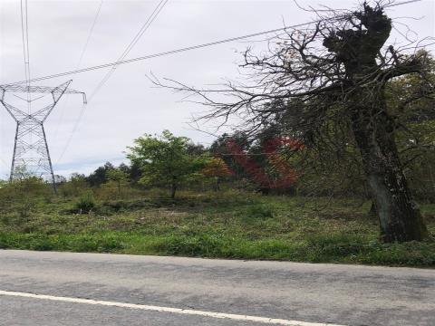 Rustic land with 9,000m2 with PDM LEVEL 3 capacity in Monte Córdoba, Santo Tirso