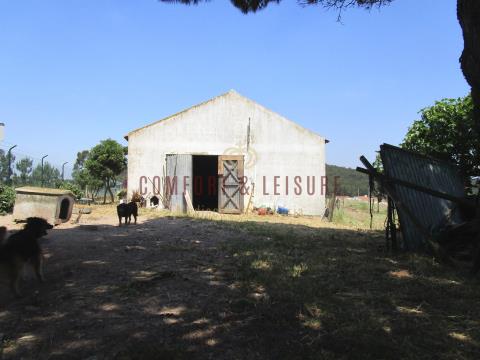 farm with 2.8ha well located 7 minutes from the City of Torres Vedras