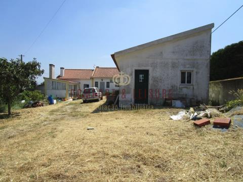 farm with 2.8ha well located 7 minutes from the City of Torres Vedras