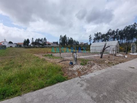 ANG1038 - Land for Sale in Fonte Cova, Monte Redondo, Leiria
