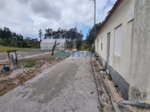 ANG1038 - Land for Sale in Fonte Cova, Monte Redondo, Leiria