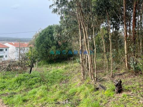 ANG1032 -  Land for Sale, in Maiorga, Alcobaça