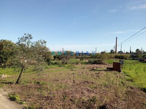 ANG1084 - Terreno para Construção à Venda em Pedreiras