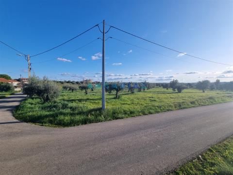 Land with 25840m2 for sale in Tomar