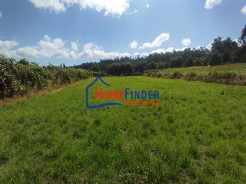 Land with approx. 2.597 m2 - Louro