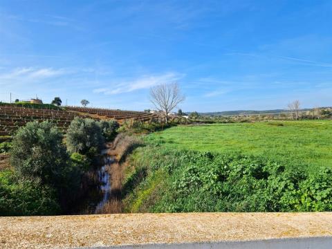 Terreno rustico - Pianeggiante - Buon accesso - Perimetro di irrigazione - Odiáxere - Lagos -Algarve