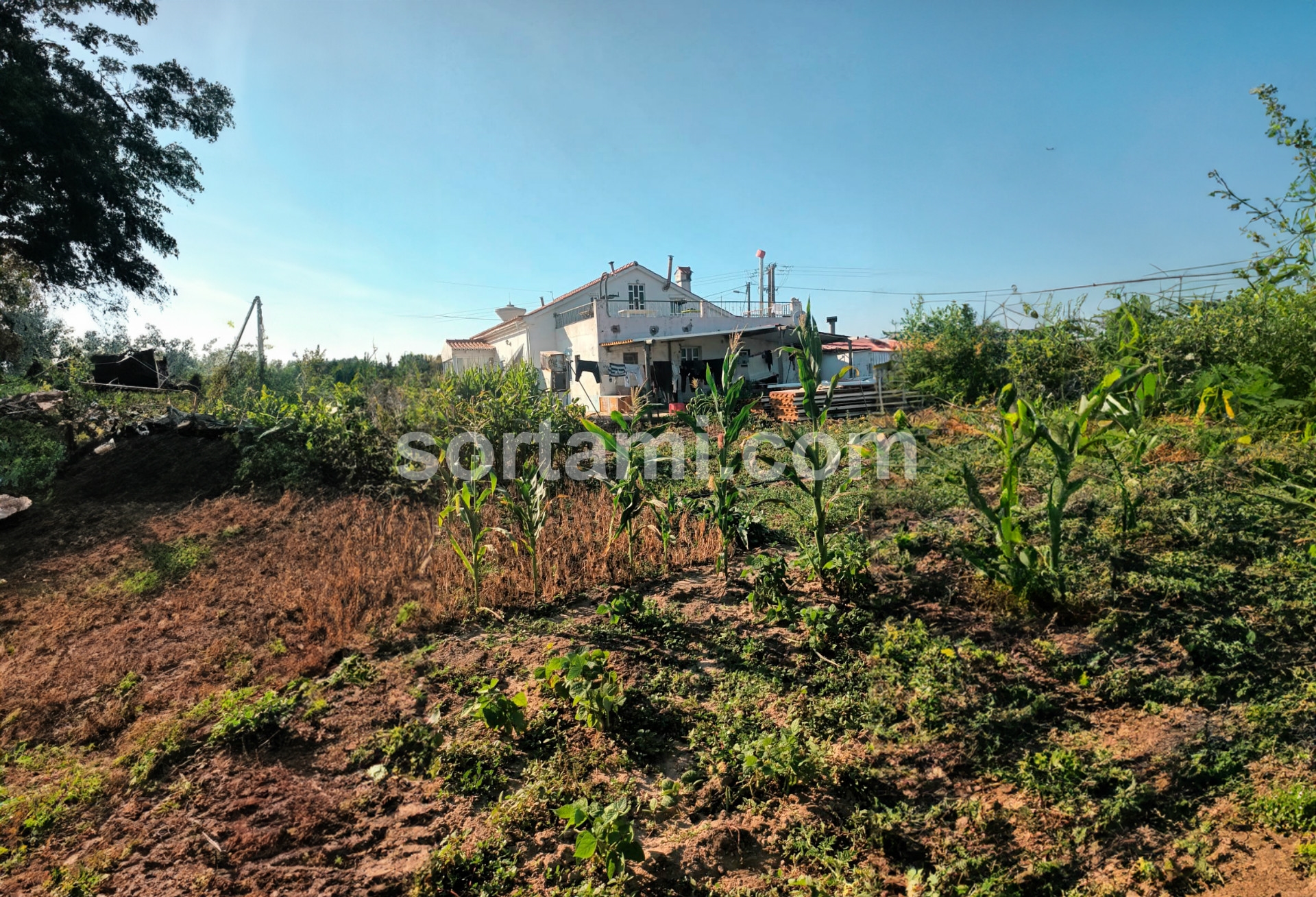 Detached house T4, Beja, Odemira / For SORTAMI Real Estate