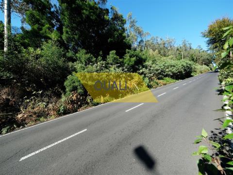 Rustikales Grundstück in Santo da Serra - Madeira - € 135.000,00