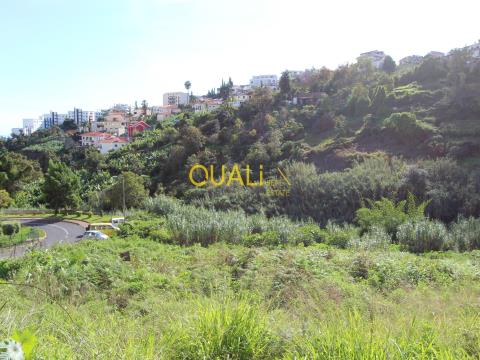 Terreno con 4032 m2 a Funchal - Isola di Madeira - €650.000,00