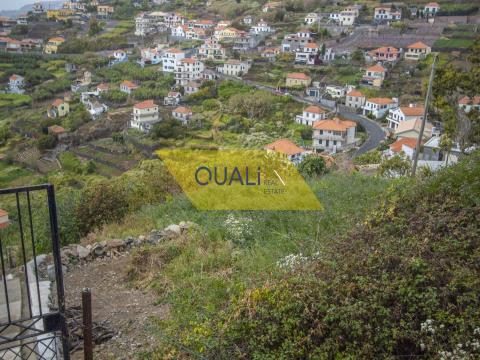 Rustic plot with 3132 square meters in Ribeira Brava - € 220.000,00
