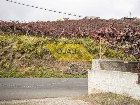 Terreno de 3923m2, ubicado en Câmara De Lobos - Isla de Madeira - € 275.000,00