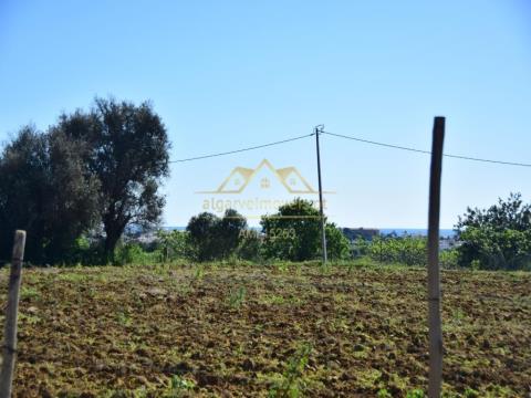 Farm with project for Rural Hotel - Albufeira