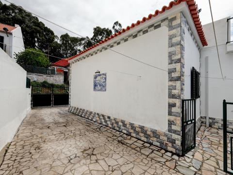 Appartamento 2+ camere