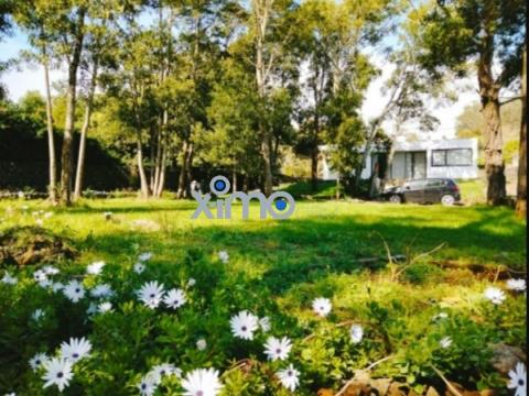 Abitazione 4+ camere