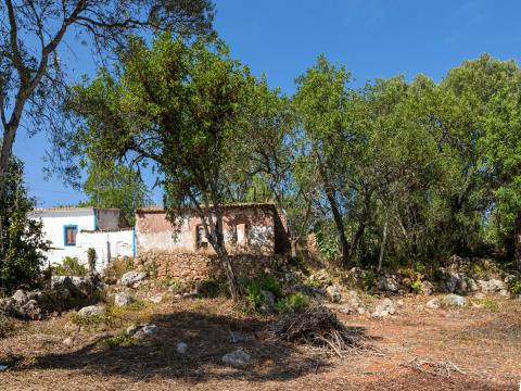 Grundstück mit Ruine, Silves, Algarve