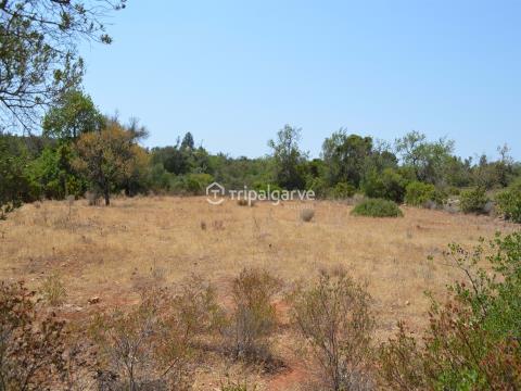 Serene Land in Canais, Albufeira - Ideal for Agriculture Projects