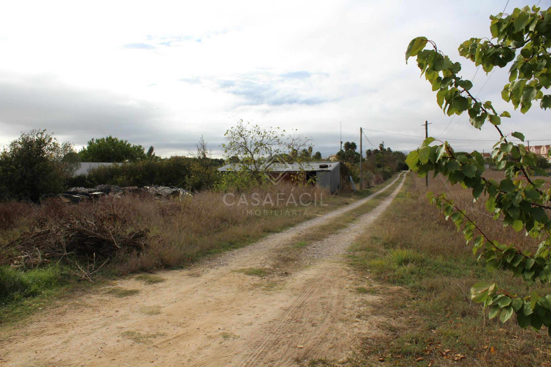 Quinta