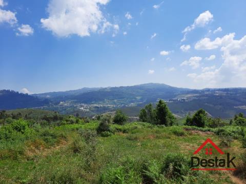  Land with approximately 1 hectare, located in Serrazes.