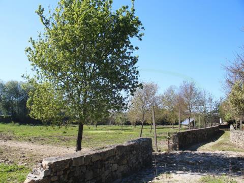 Ausgezeichnete Farm von 2,6 ha 30min von Porto mit Flussufer, Pool und Wassermühle zum Wiederaufbau