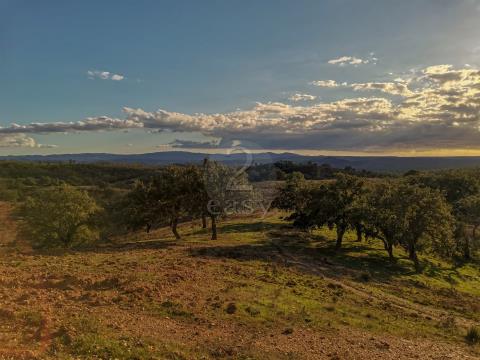 Homeland with 44,875 hectares, Ruin for recovery, Costa Vicentina, Odemira, Alentejo