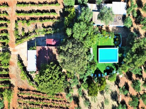 Pequeña finca en Alentejo, con viñedo, olivar y piscina, Borba