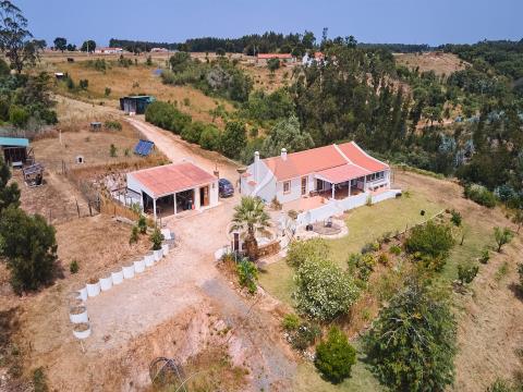 Monte Alentejano com 2.9 hectares, 2 casas independentes + anexo + telheiro