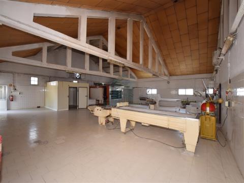 Excellent Bakery activity warehouse located in Madalena and Beselga, Tomar