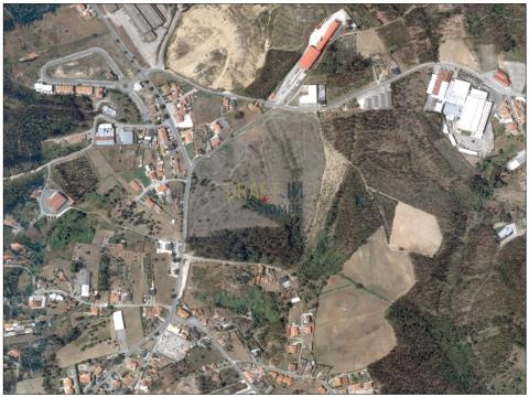 Terreno urbanizable con 75 000m2 en Barosa, Leiria